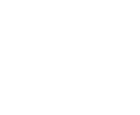 Caretta Australia Flying Turtle Logo